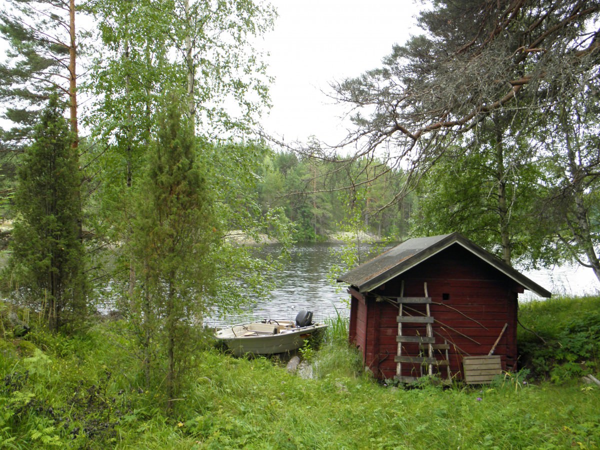 Банька в лесу