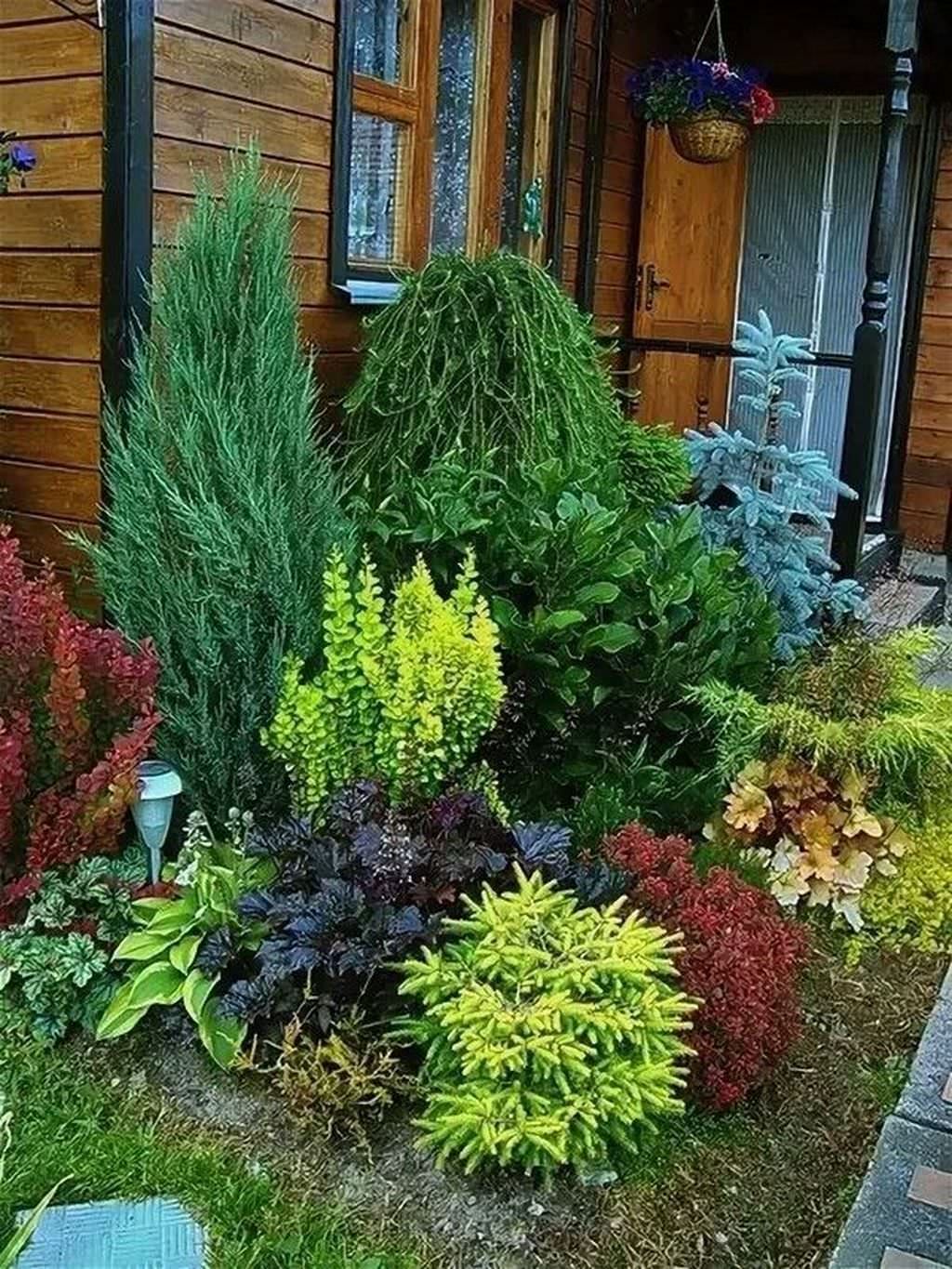 Барбарис в ландшафтном дизайне