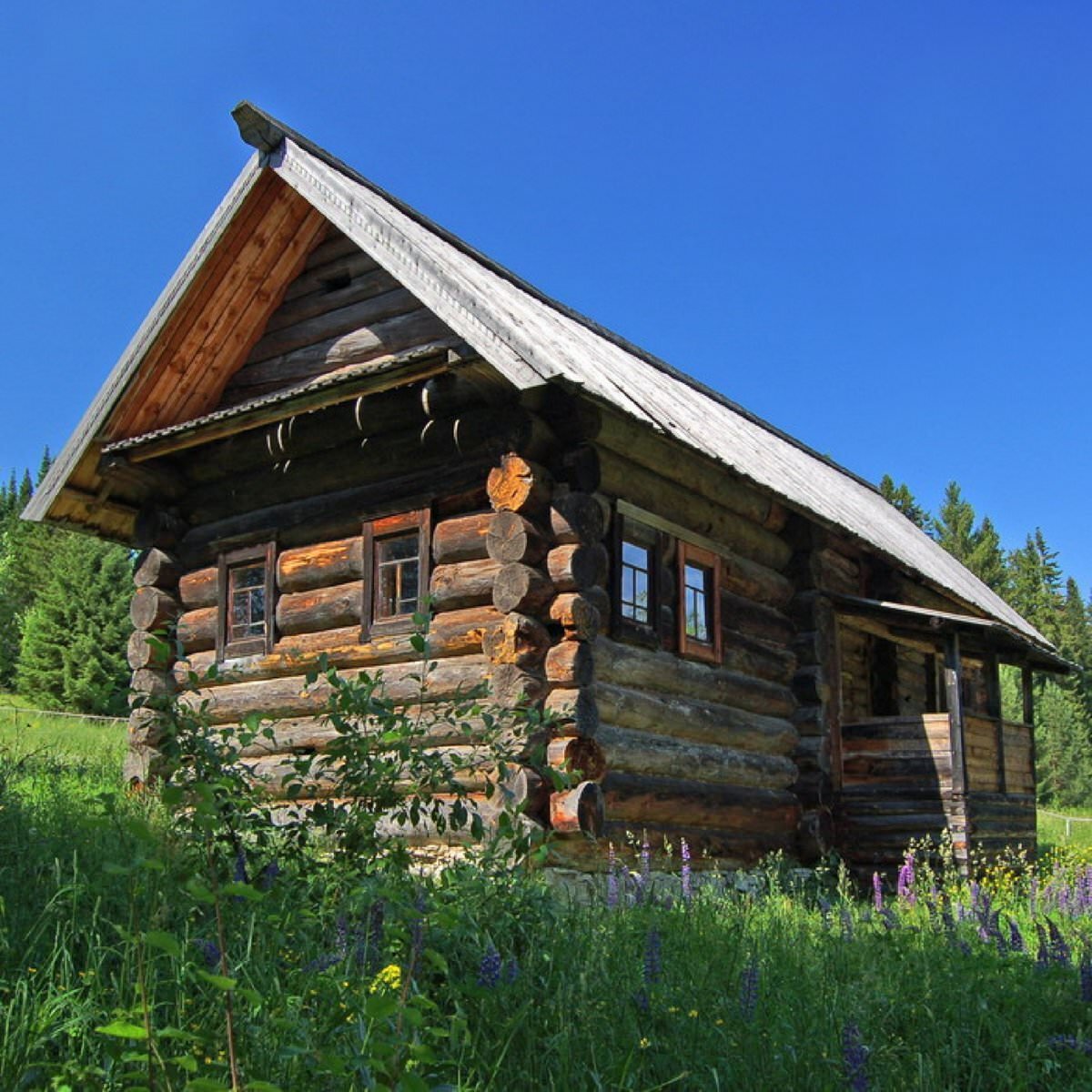 Бревенчатая изба