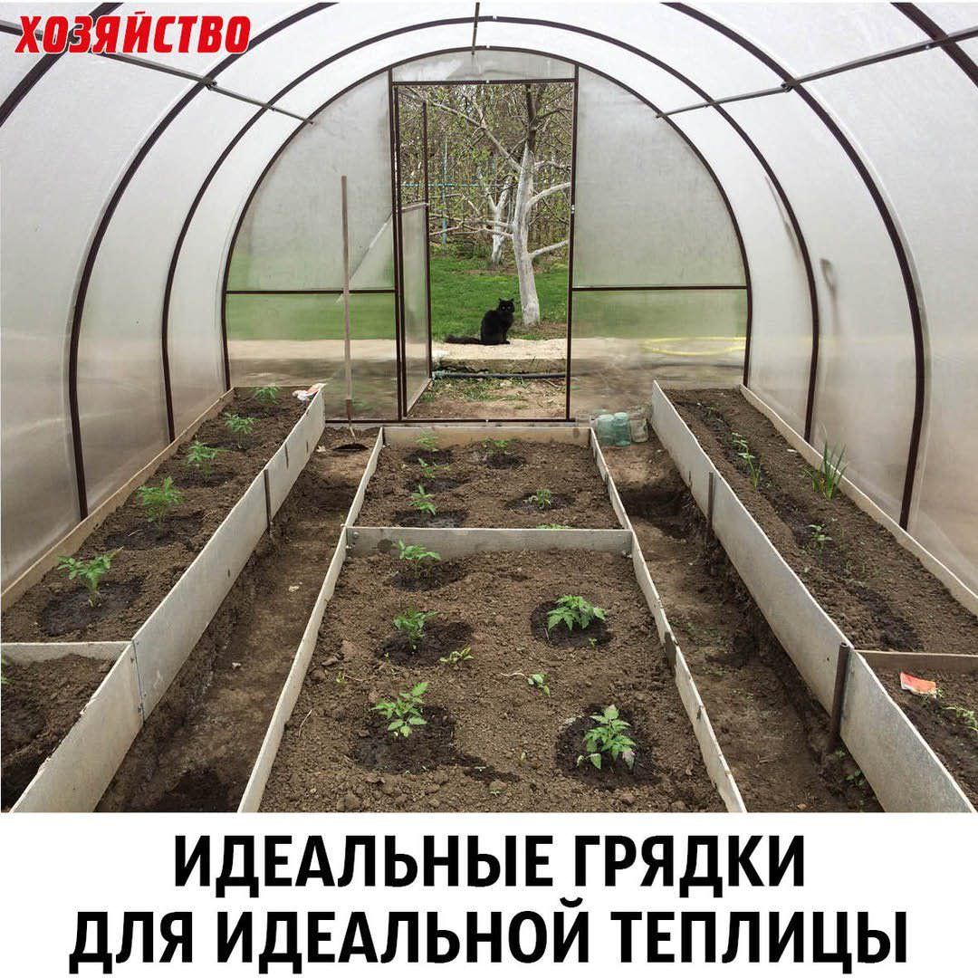 Грядки возле теплицы