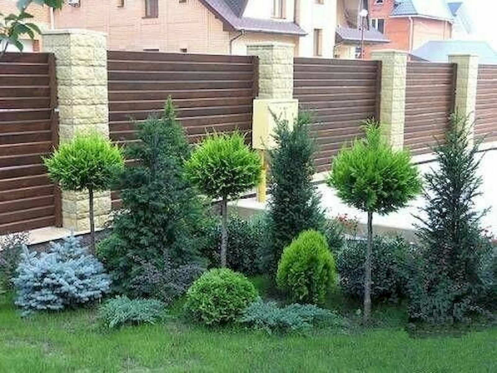Композиция из хвойных вдоль забора