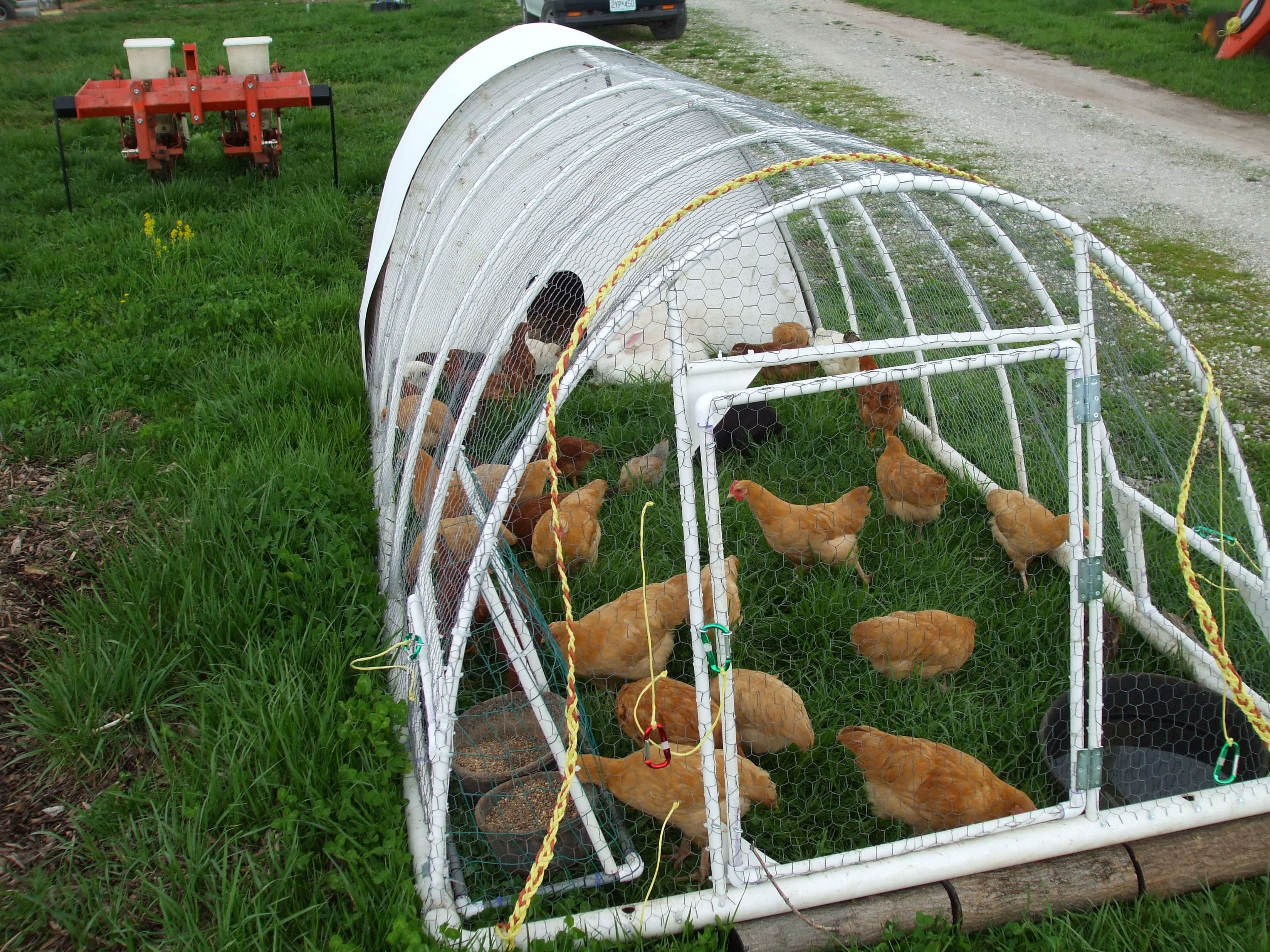 Курятник из парника