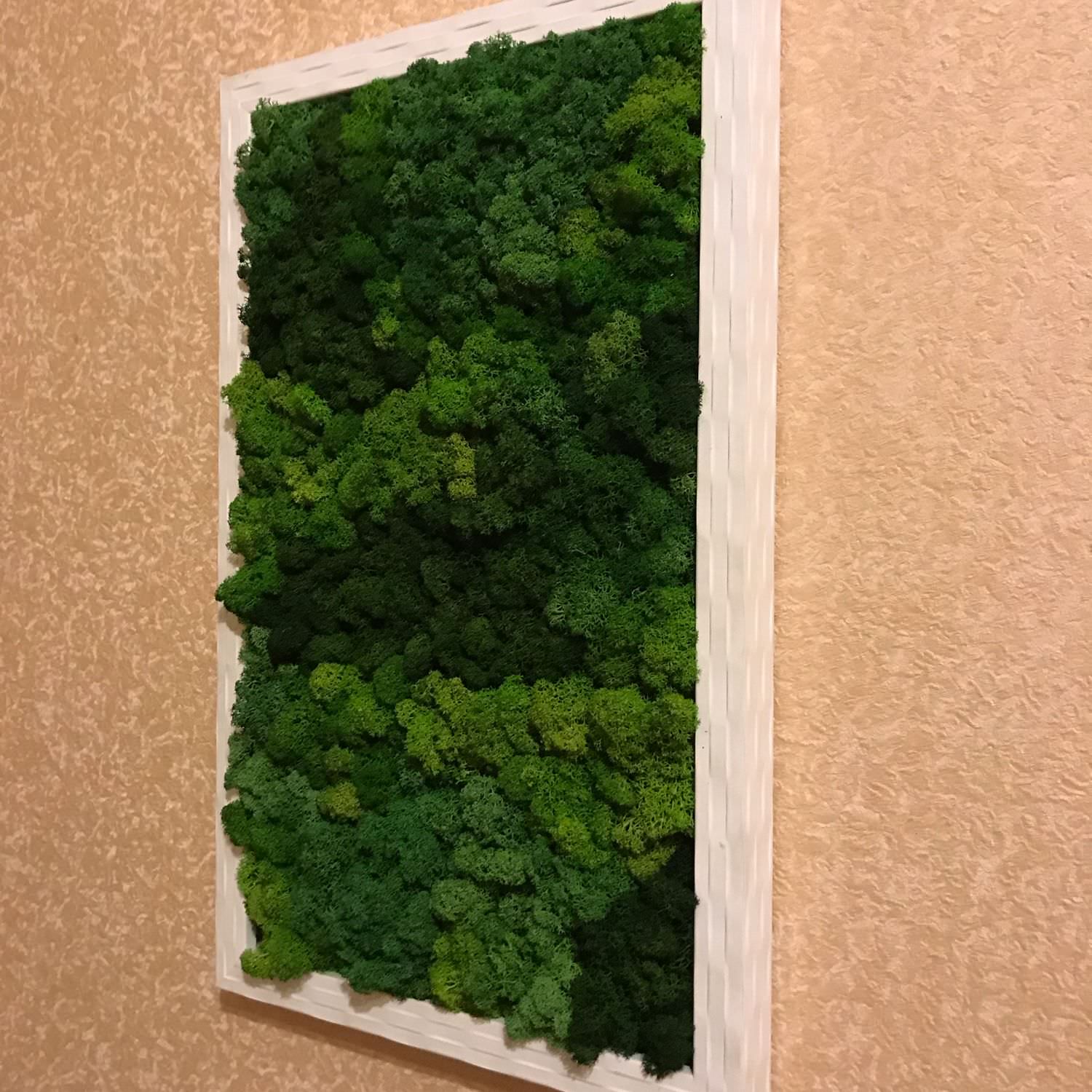 Панно из мха на стену