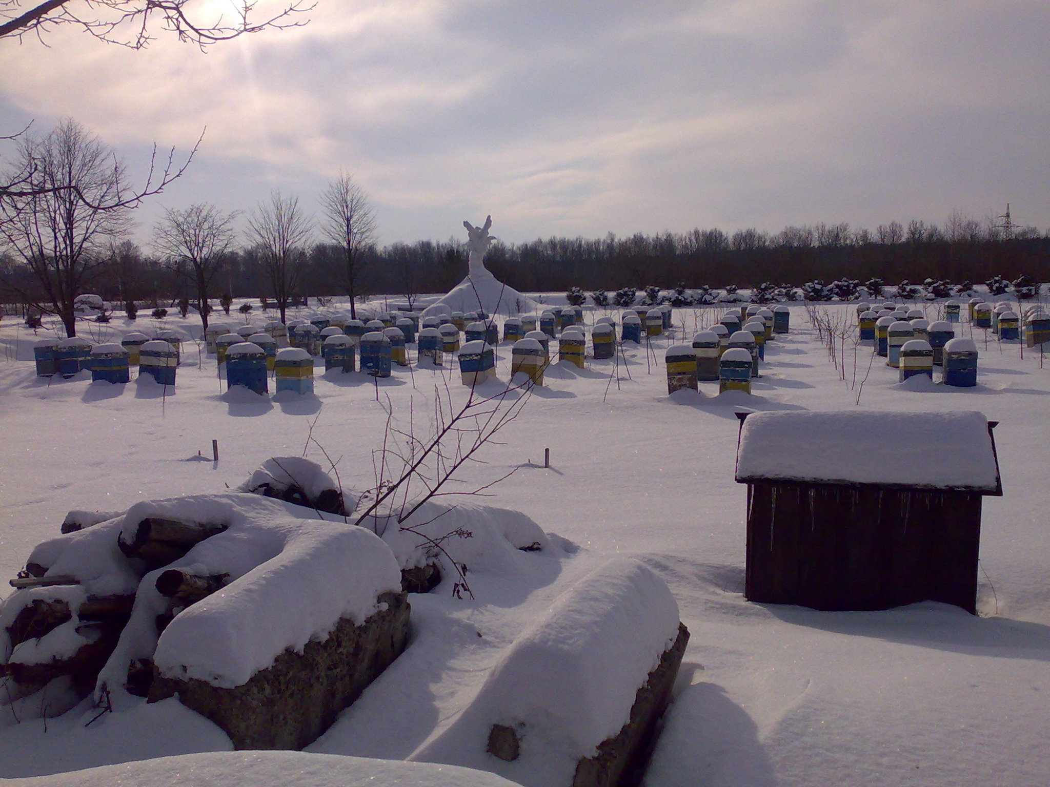 Пасека зимой