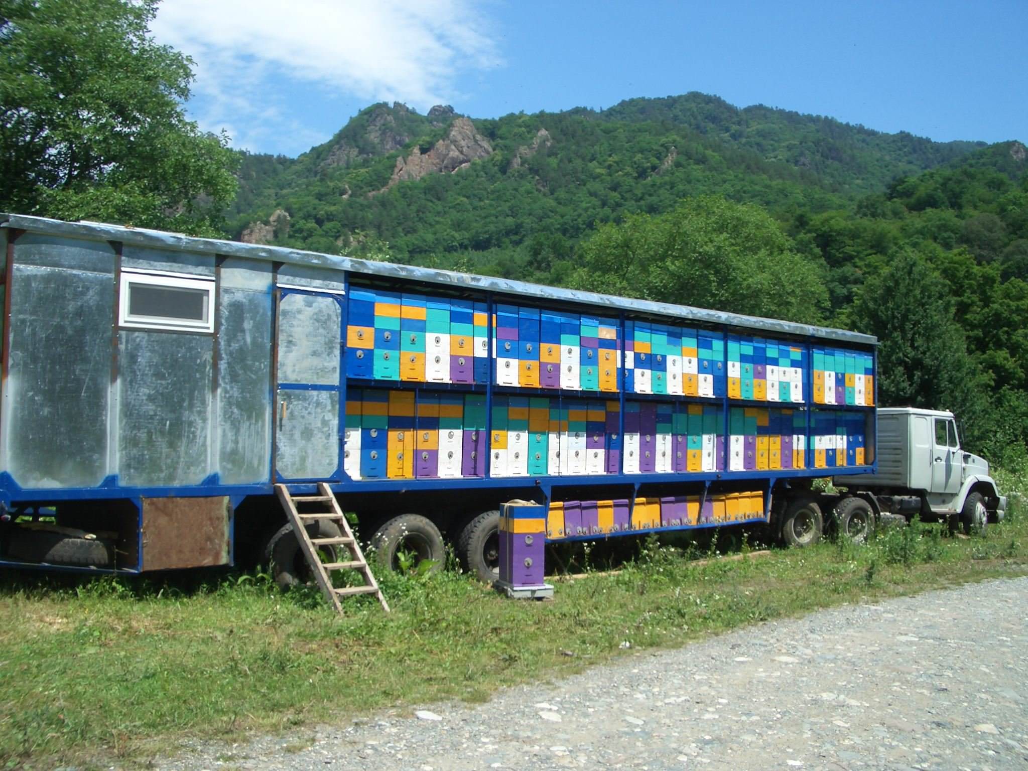 Передвижная пасека