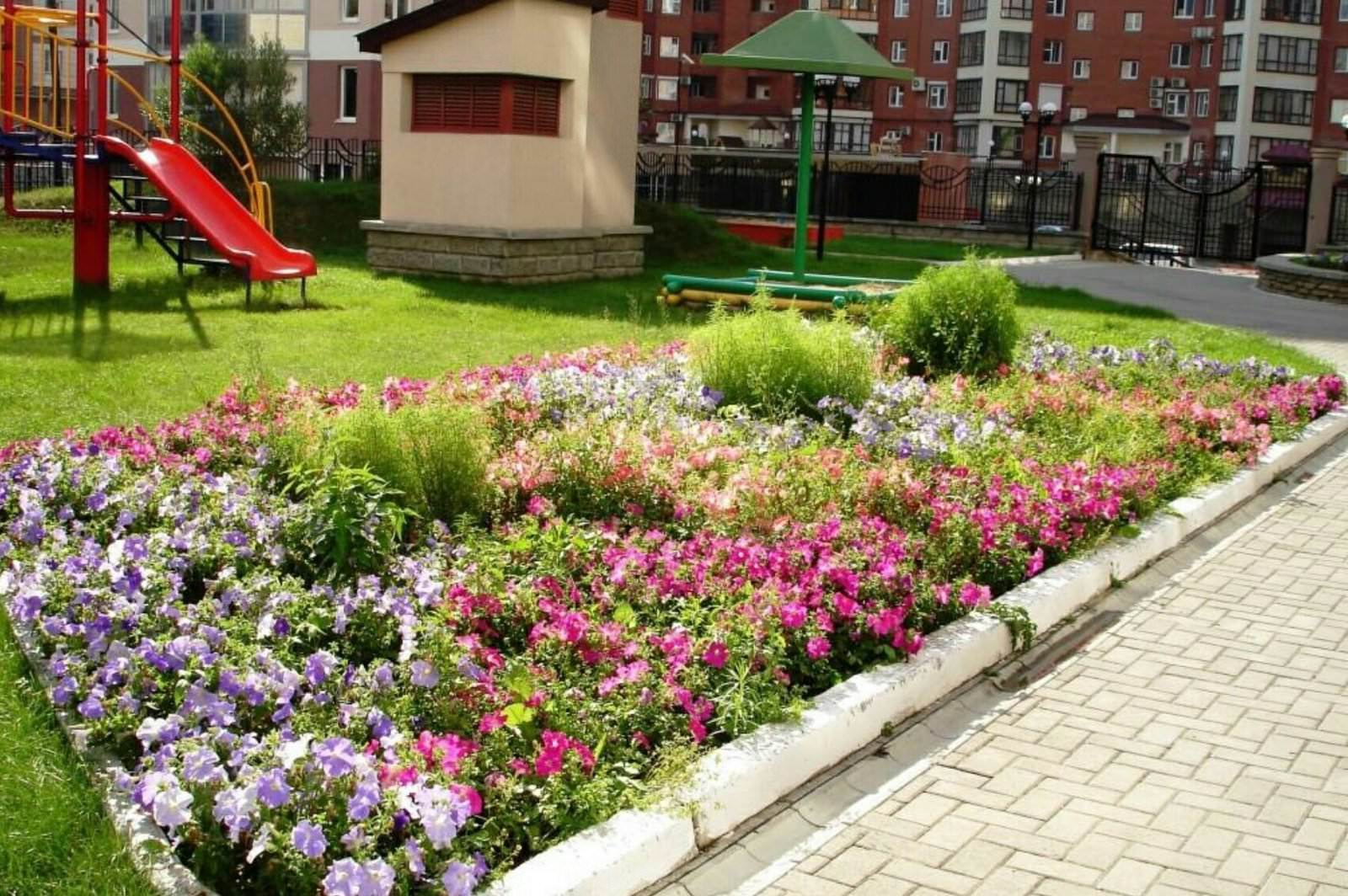 Придомовые клумбы