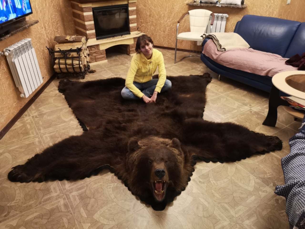 Шкура медведя на стене