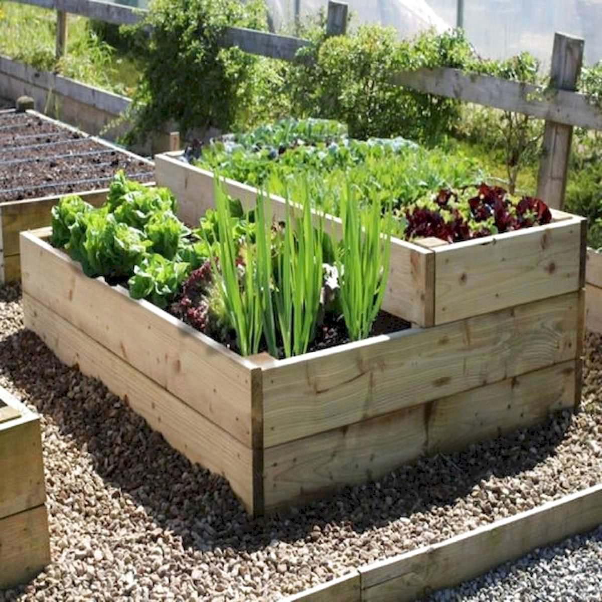 Умные грядки на даче своими руками