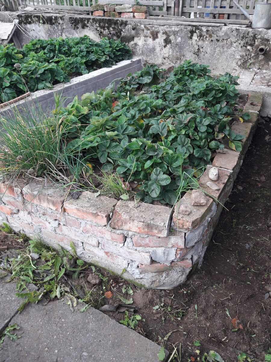 Высокие грядки из бетона